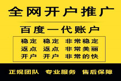 百度竞价托管运营成功案例解析