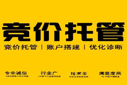 SEM推广代运营策略：从失败到成功的转变